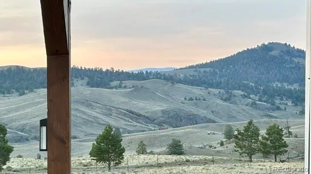 8591 Black Beaver Road Hartsel, CO 80449