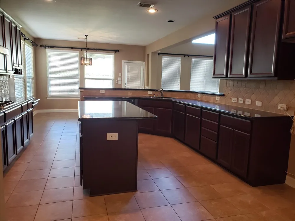 3607 Cat Springs Lane Missouri City, TX 77459