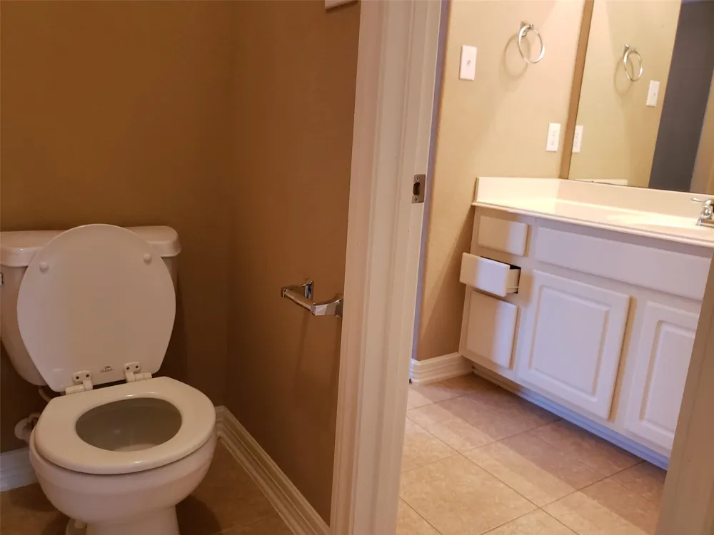 3607 Cat Springs Lane Missouri City, TX 77459