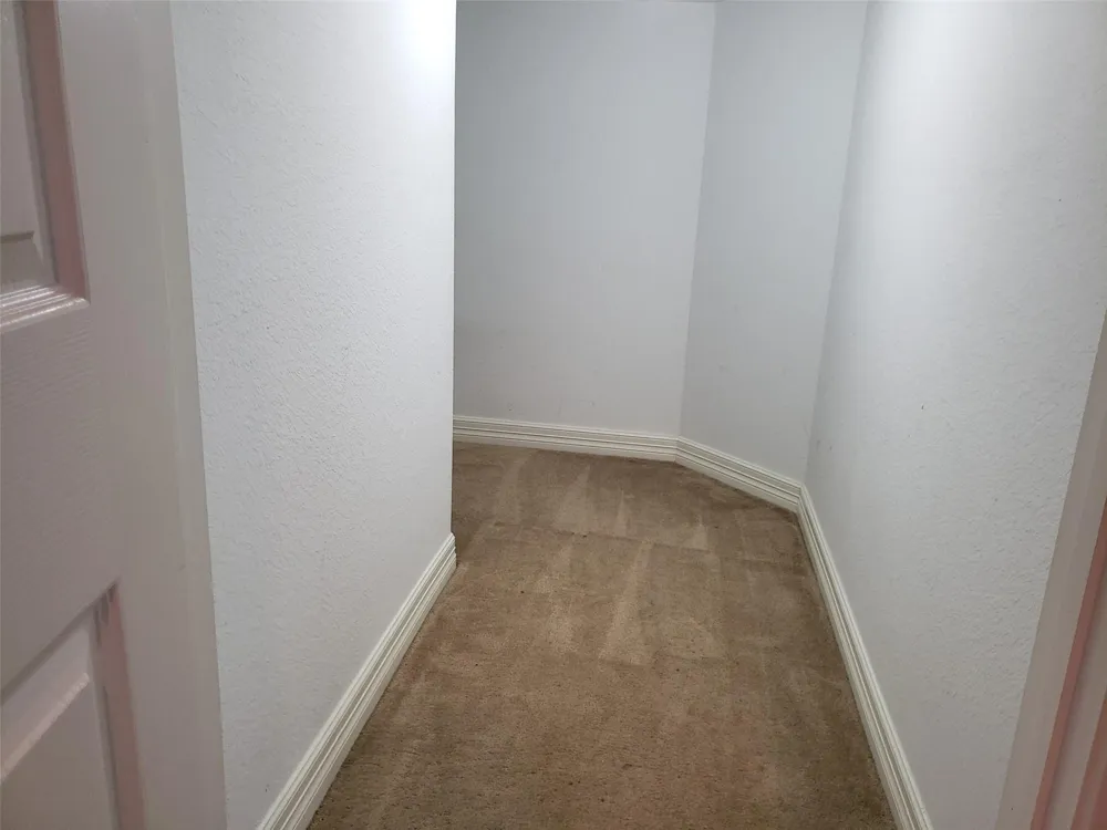3607 Cat Springs Lane Missouri City, TX 77459