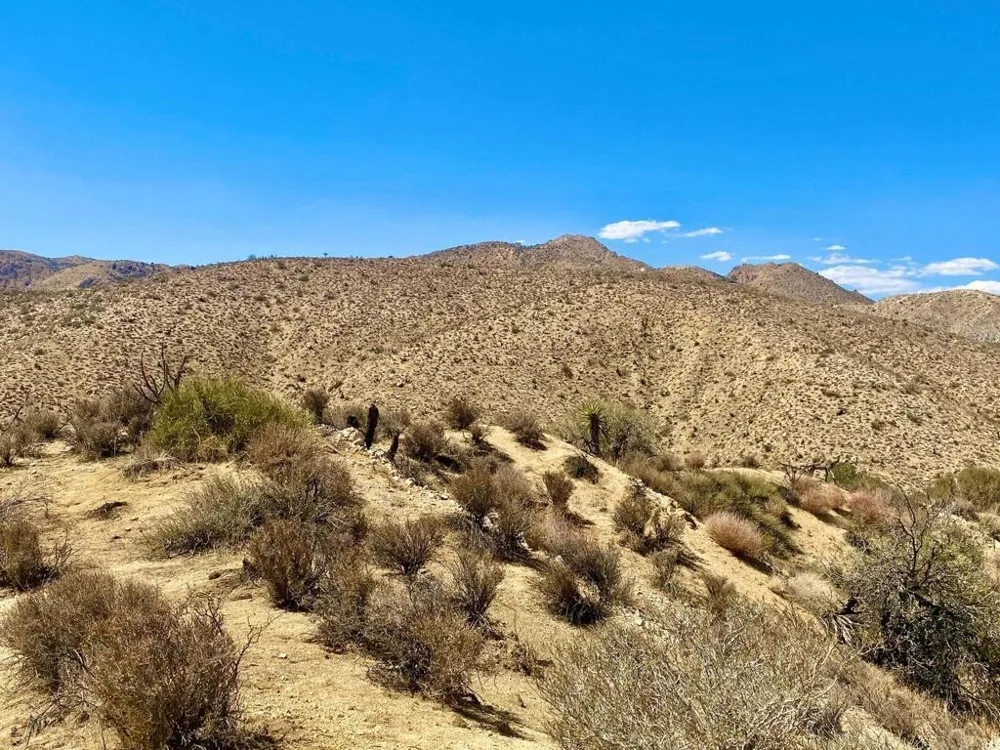 120 Benmar Trail Morongo Valley, CA 92256