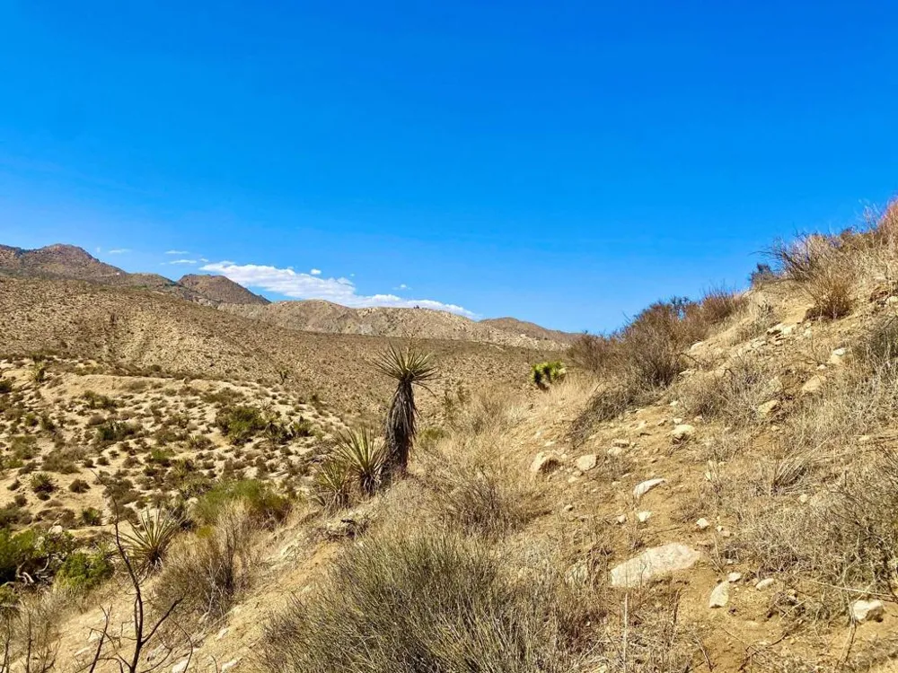 120 Benmar Trail Morongo Valley, CA 92256