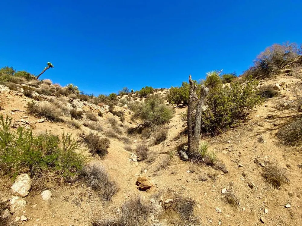 120 Benmar Trail Morongo Valley, CA 92256