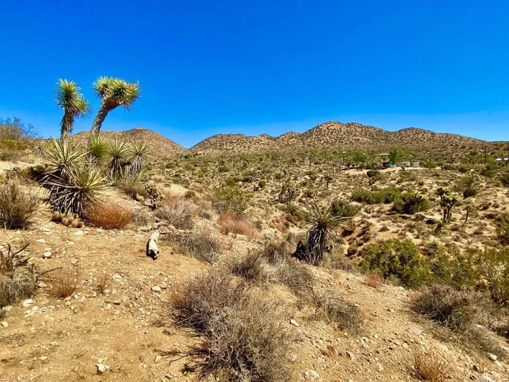 120 Benmar Trail Morongo Valley, CA 92256