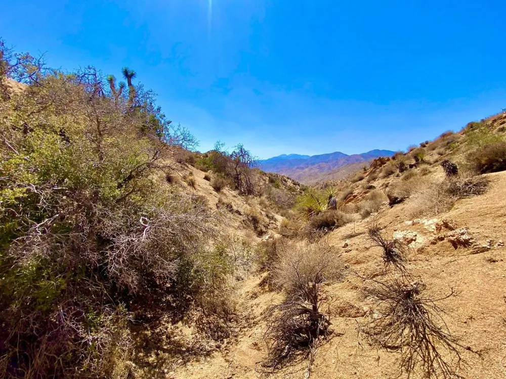 120 Benmar Trail Morongo Valley, CA 92256