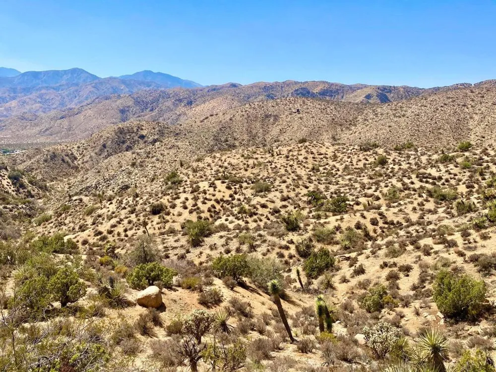 120 Benmar Trail Morongo Valley, CA 92256