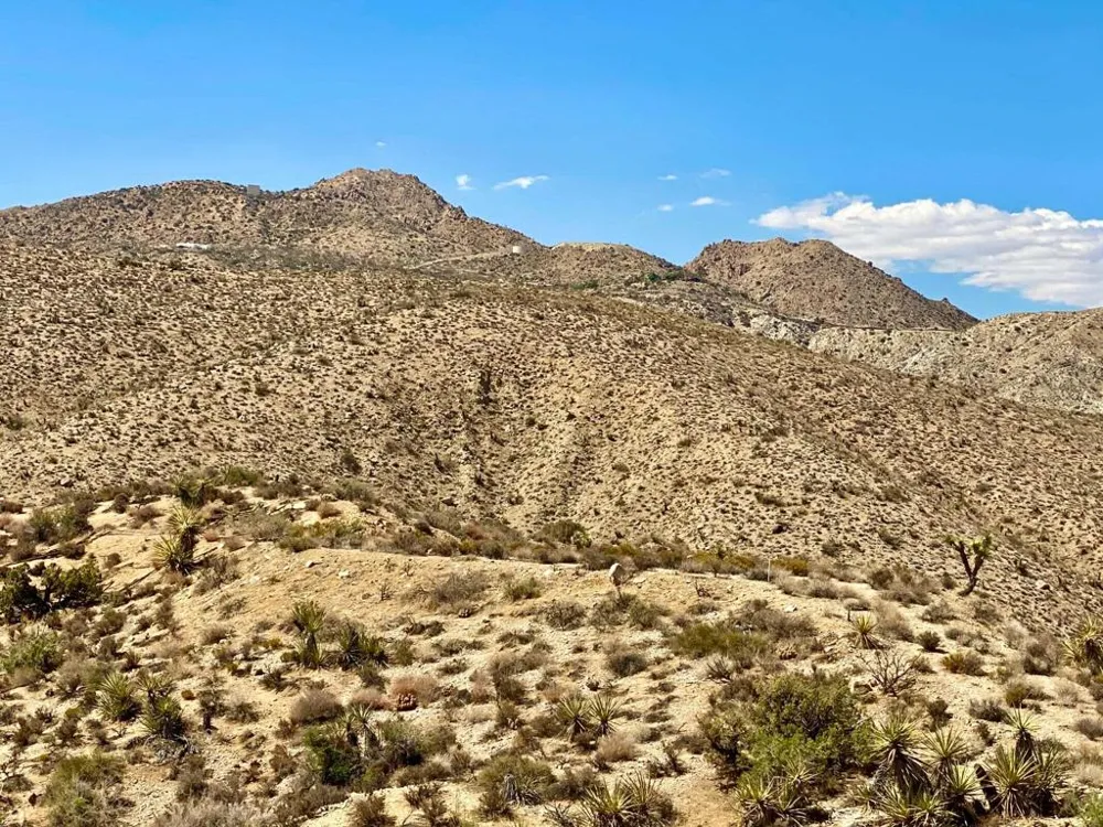 120 Benmar Trail Morongo Valley, CA 92256