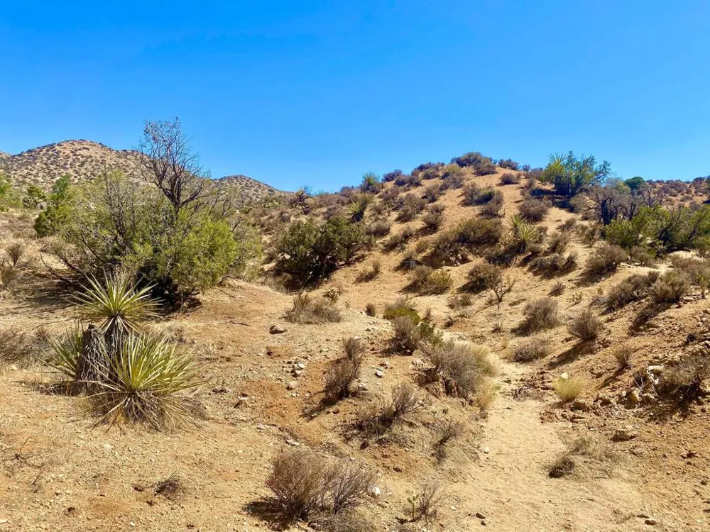 120 Benmar Trail Morongo Valley, CA 92256