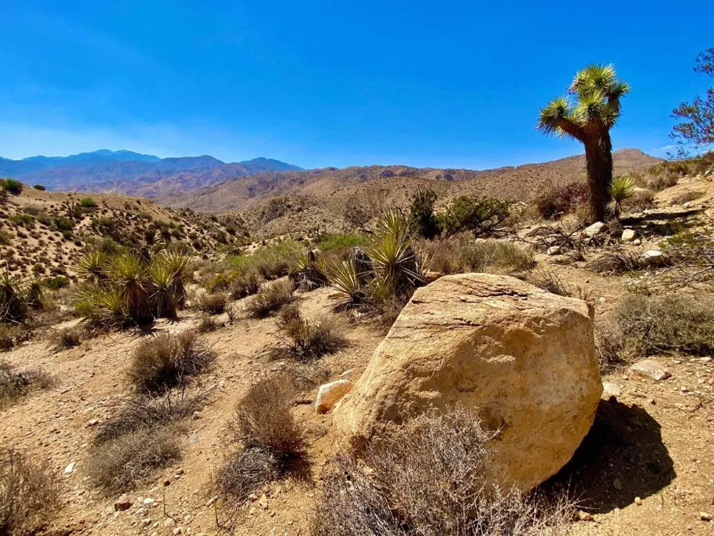 120 Benmar Trail Morongo Valley, CA 92256