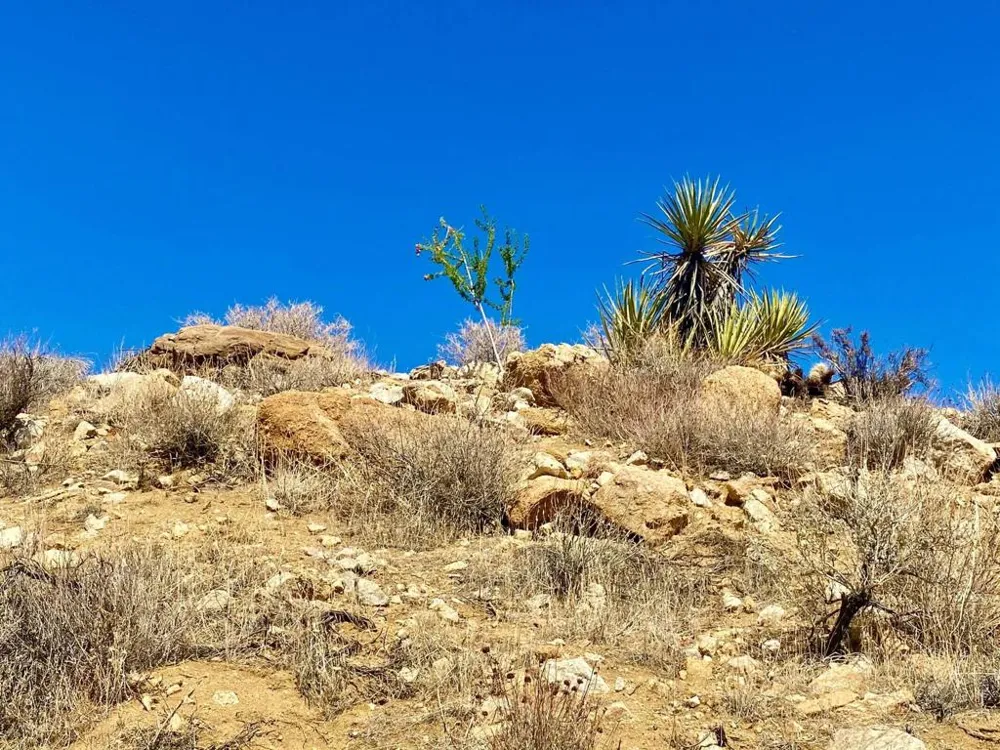 120 Benmar Trail Morongo Valley, CA 92256