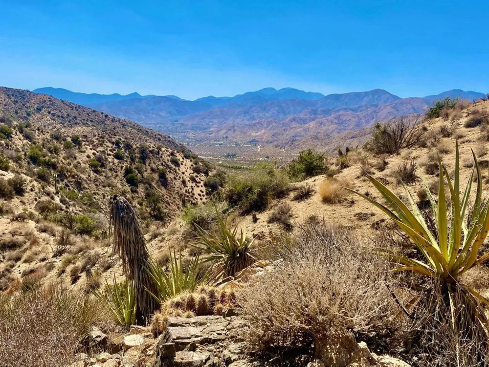 120 Benmar Trail Morongo Valley, CA 92256