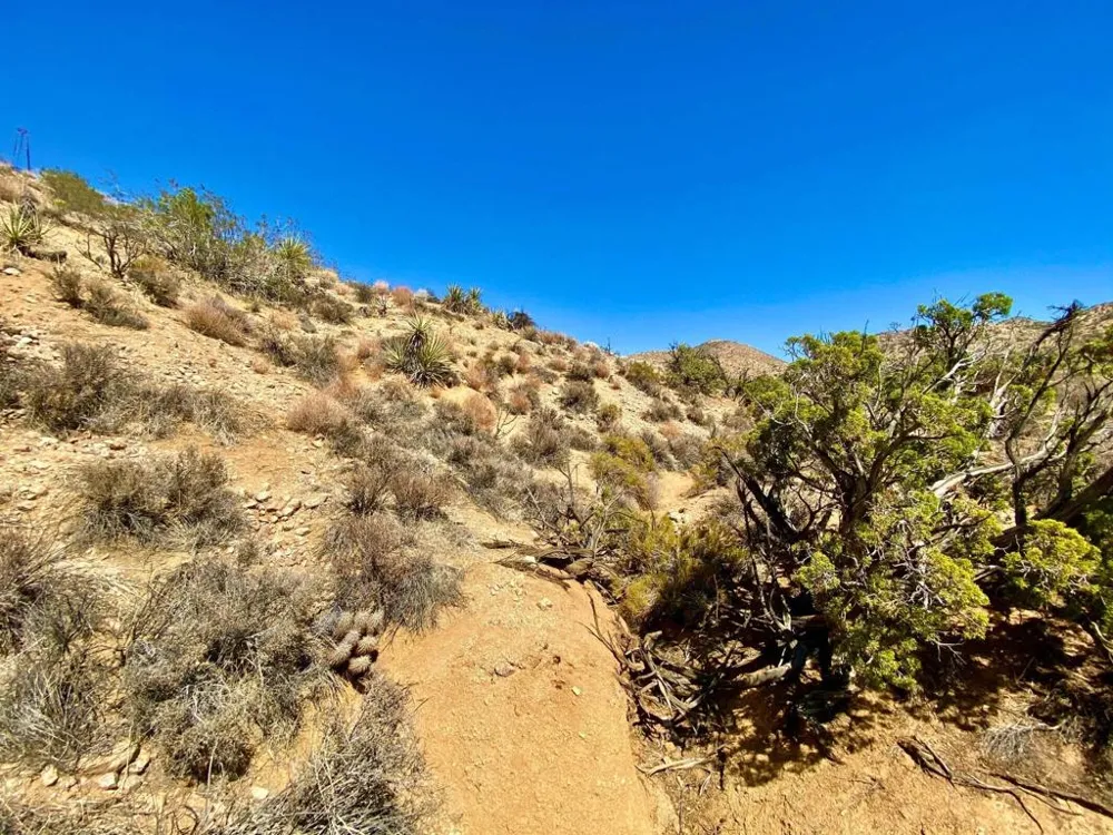 120 Benmar Trail Morongo Valley, CA 92256