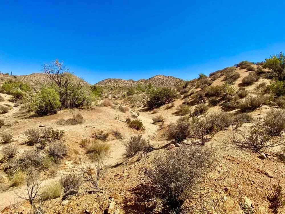120 Benmar Trail Morongo Valley, CA 92256
