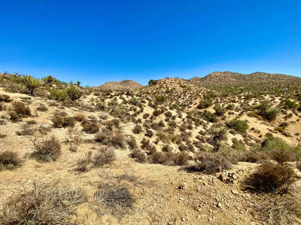 120 Benmar Trail Morongo Valley, CA 92256