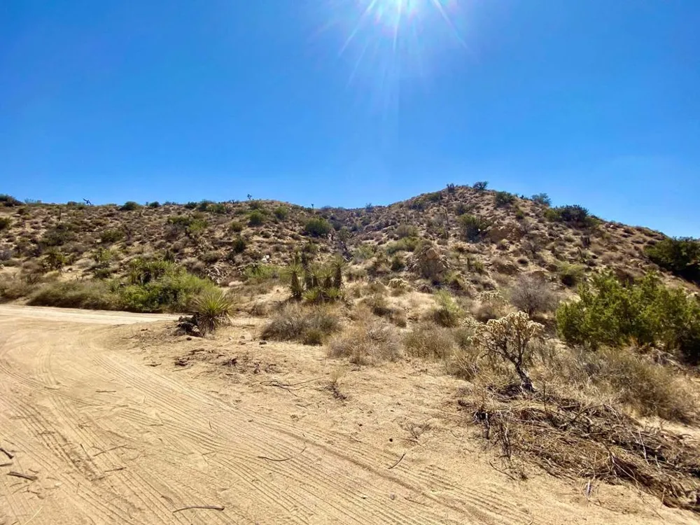 120 Benmar Trail Morongo Valley, CA 92256