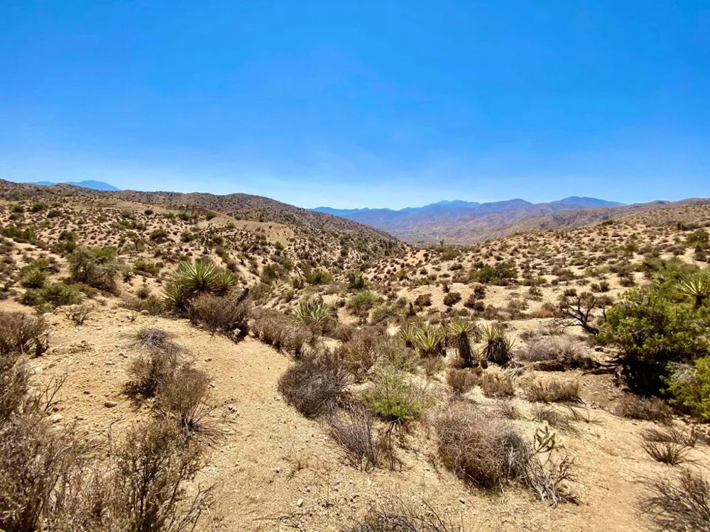 120 Benmar Trail Morongo Valley, CA 92256