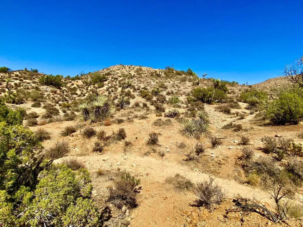 120 Benmar Trail Morongo Valley, CA 92256