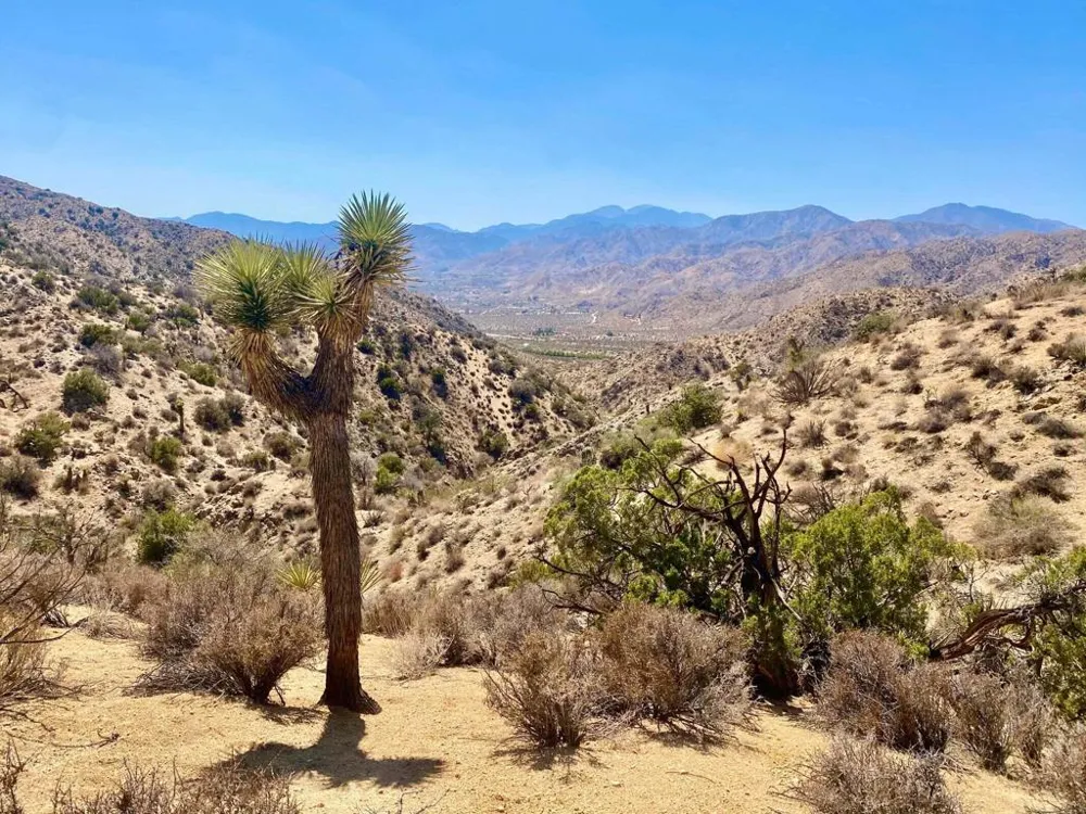 120 Benmar Trail Morongo Valley, CA 92256