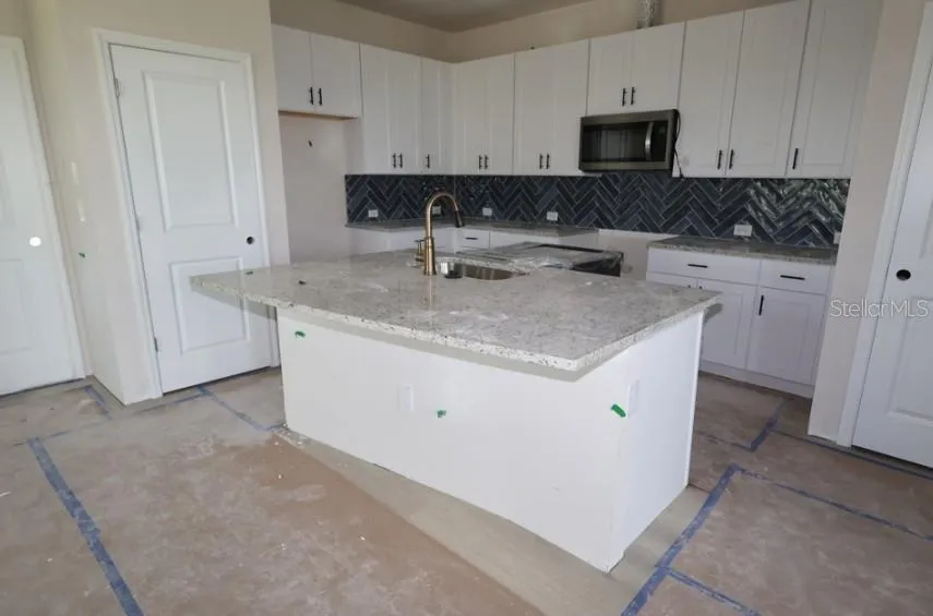 3528 CASPIAN CHERVIL STREET Wesley Chapel, FL 33543