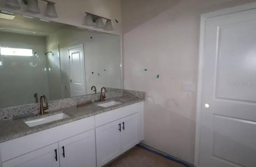 3528 CASPIAN CHERVIL STREET Wesley Chapel, FL 33543