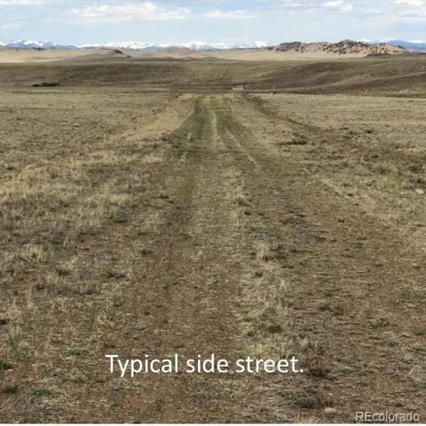 000 Seneca Road Hartsel, CO 80449