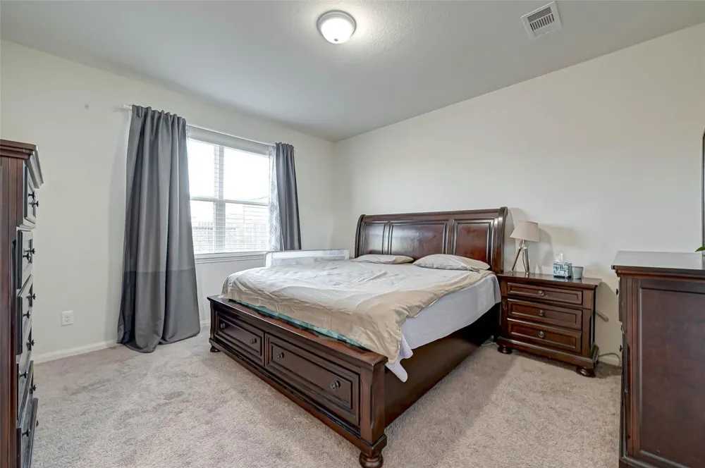 1306 Diamond Drape Drive Iowa Colony, TX 77583