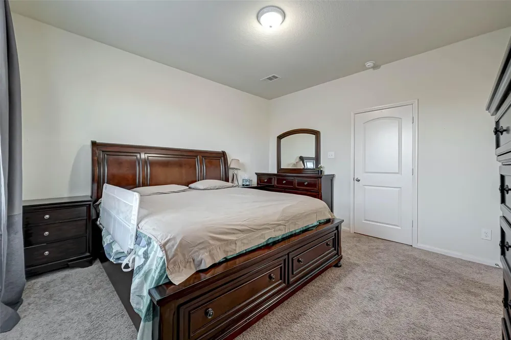 1306 Diamond Drape Drive Iowa Colony, TX 77583