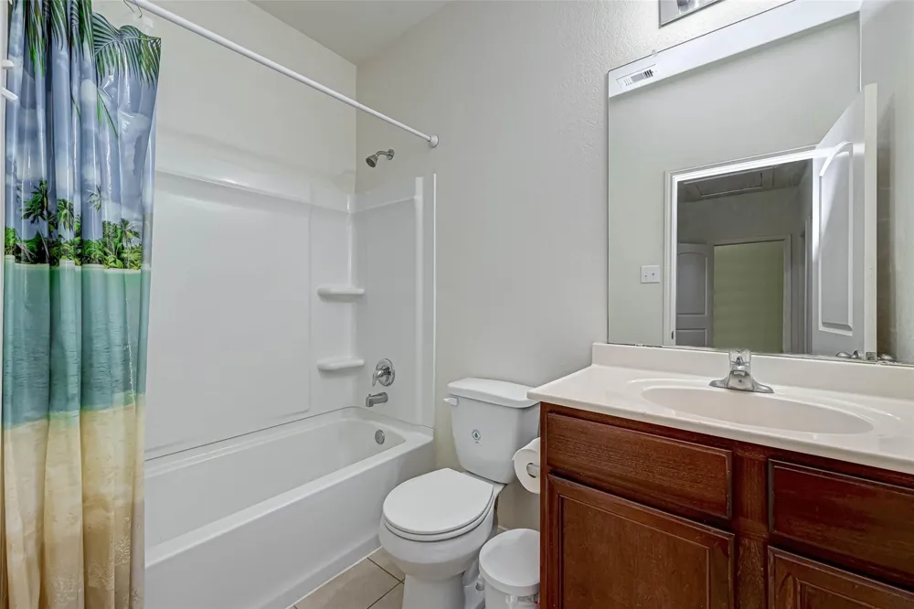 1306 Diamond Drape Drive Iowa Colony, TX 77583