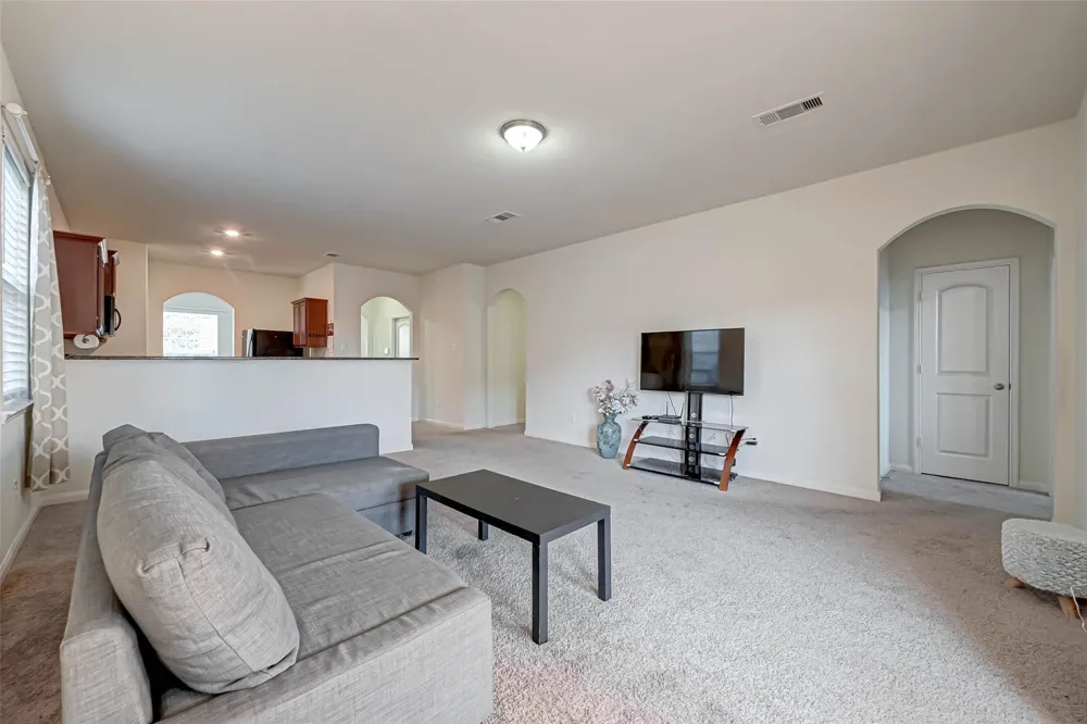 1306 Diamond Drape Drive Iowa Colony, TX 77583