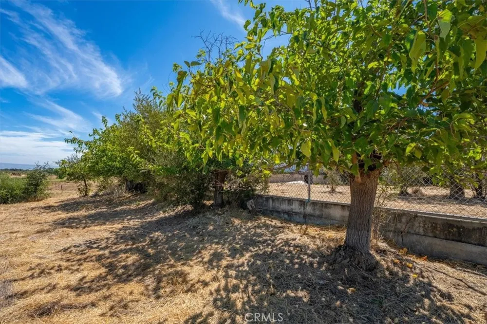 24611 Pedan Avenue Corning, CA 96021