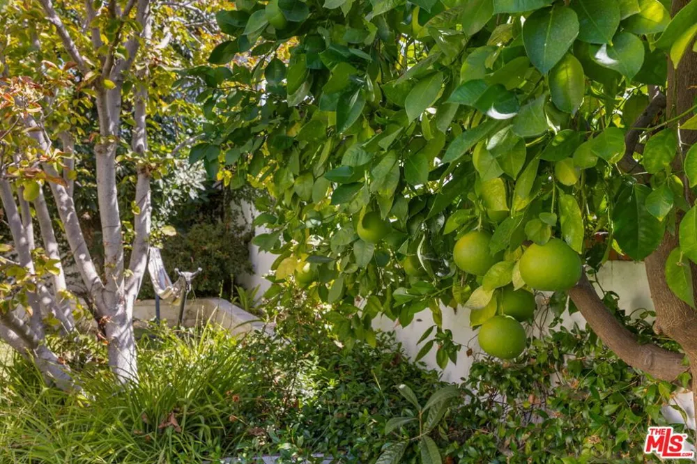 1007 Matilija Road Glendale, CA 91202