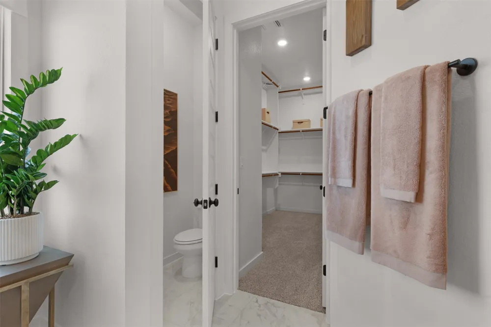 426 Blue Vervain Trail Georgetown, TX 78633