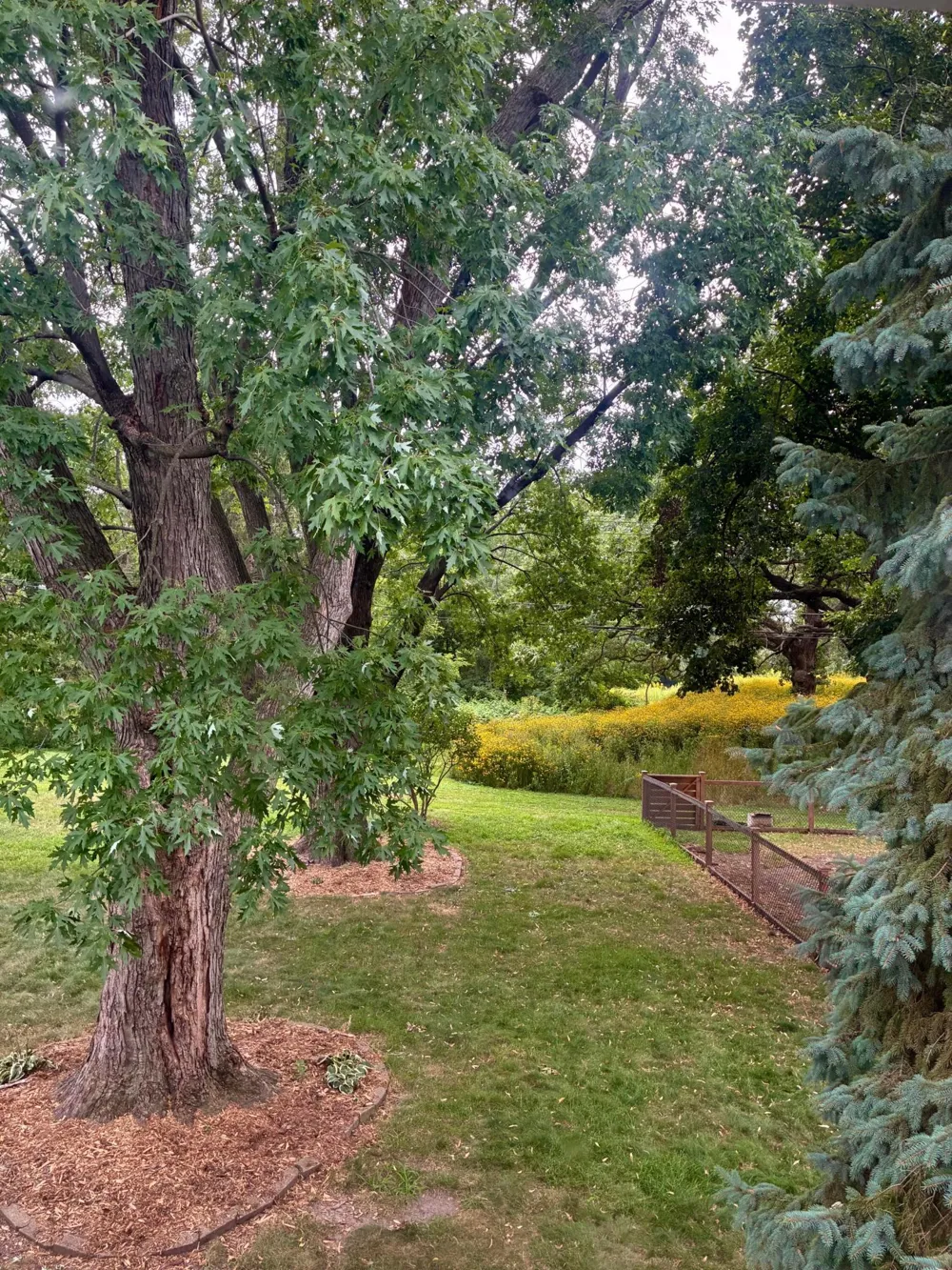 2009 W 83rd Street Bloomington, MN 55431