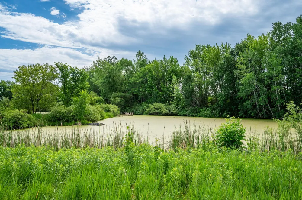 6786 Yellowstone Lane Maple Grove, MN 55311