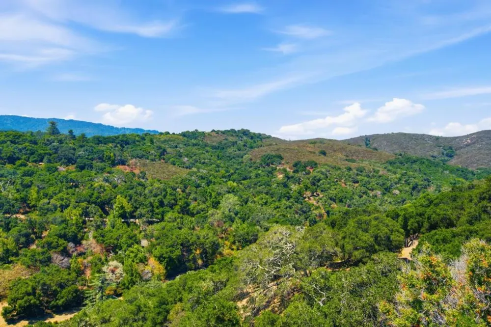 3368 La Mesa Drive #12 San Carlos, CA 94070