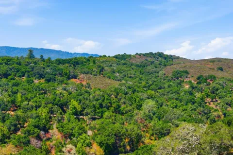3368 La Mesa Drive #12