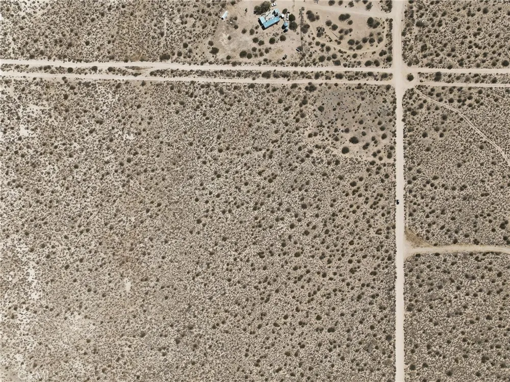 Champagne Ave Rosamond, CA 93560