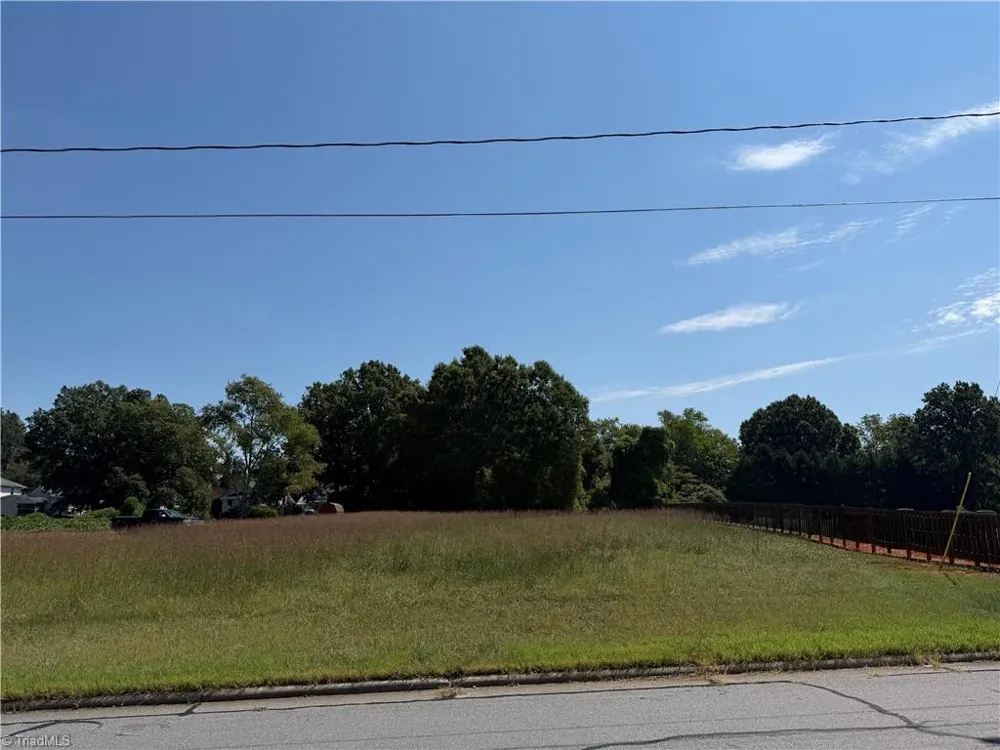0 Montgomery Street Reidsville, NC 27320
