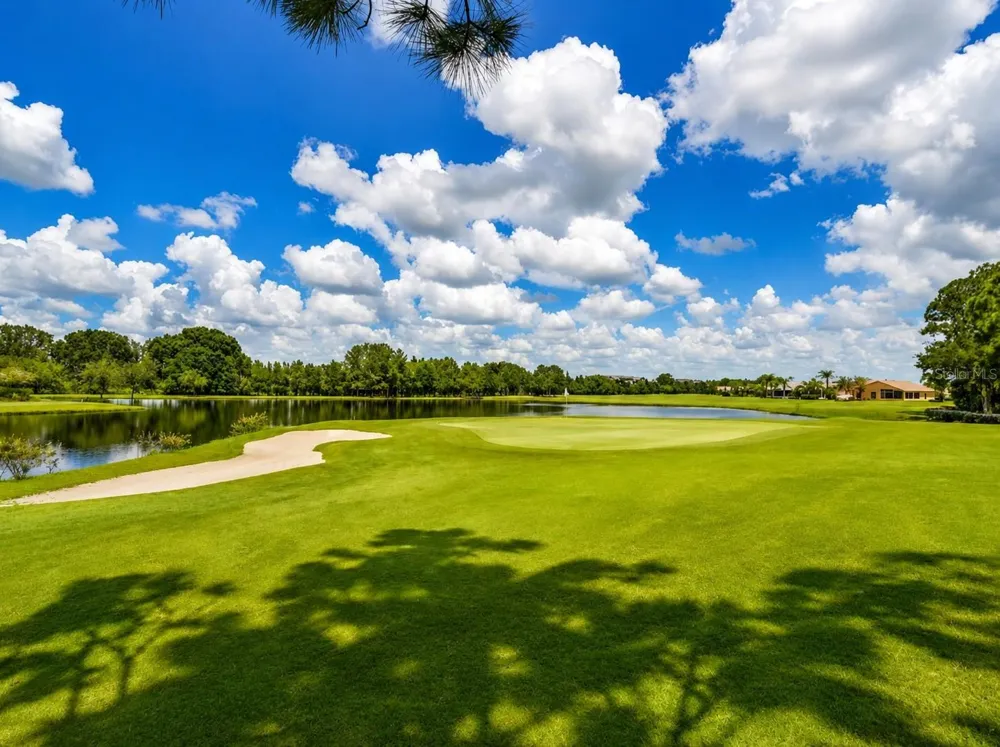 12027 FERN TERRACE COURT Trinity, FL 34655