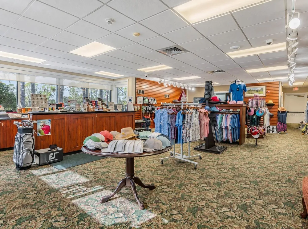 12027 FERN TERRACE COURT Trinity, FL 34655