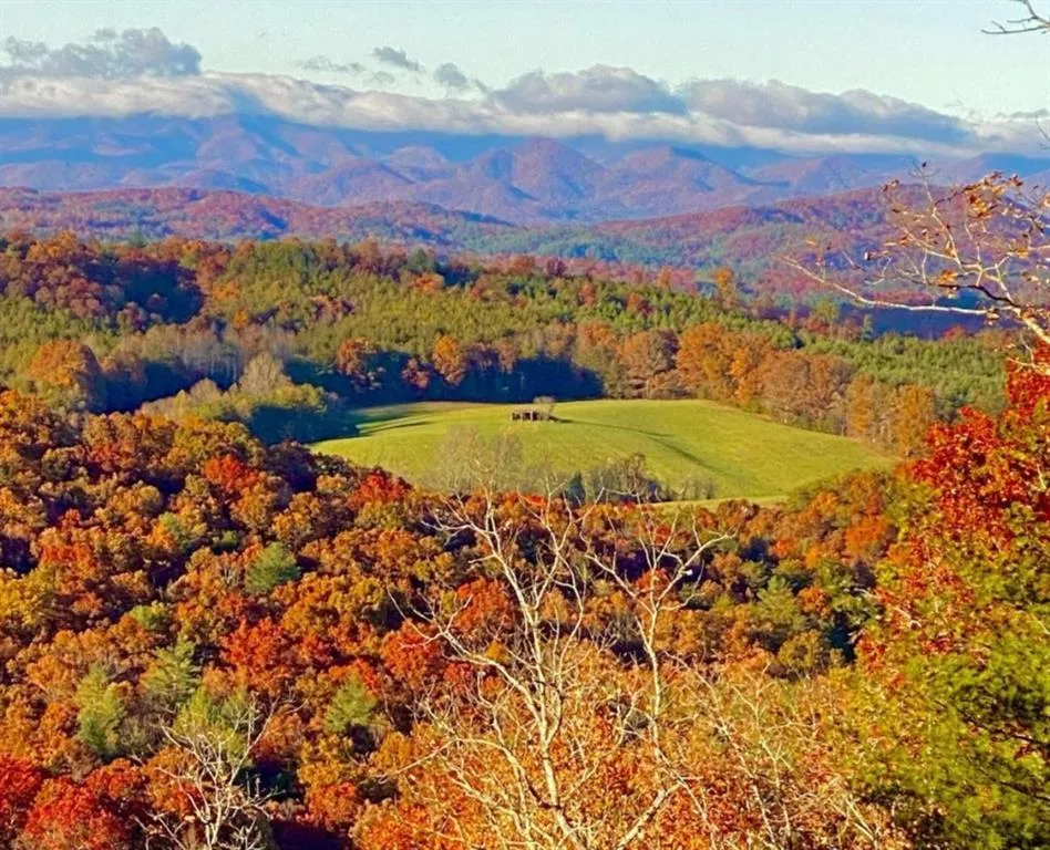 416 Autumn Hills Drive Morganton, GA 30560