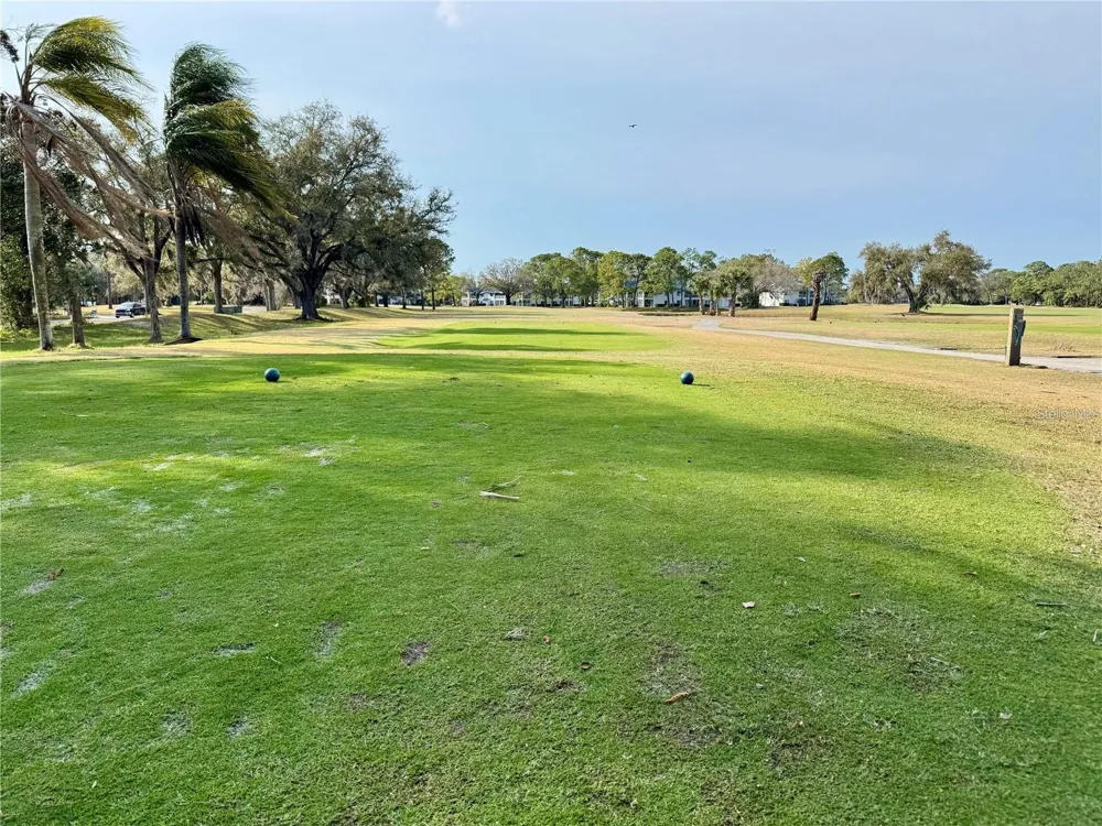 3553 FAIRWAY FOREST DRIVE Palm Harbor, FL 34685