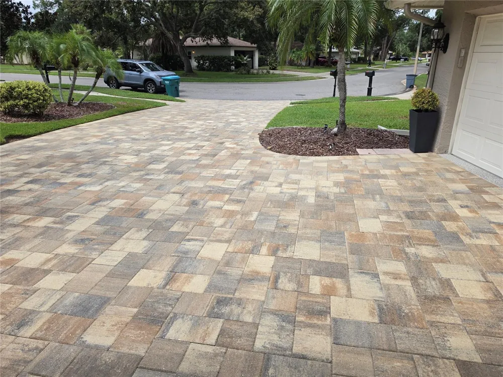 3553 FAIRWAY FOREST DRIVE Palm Harbor, FL 34685