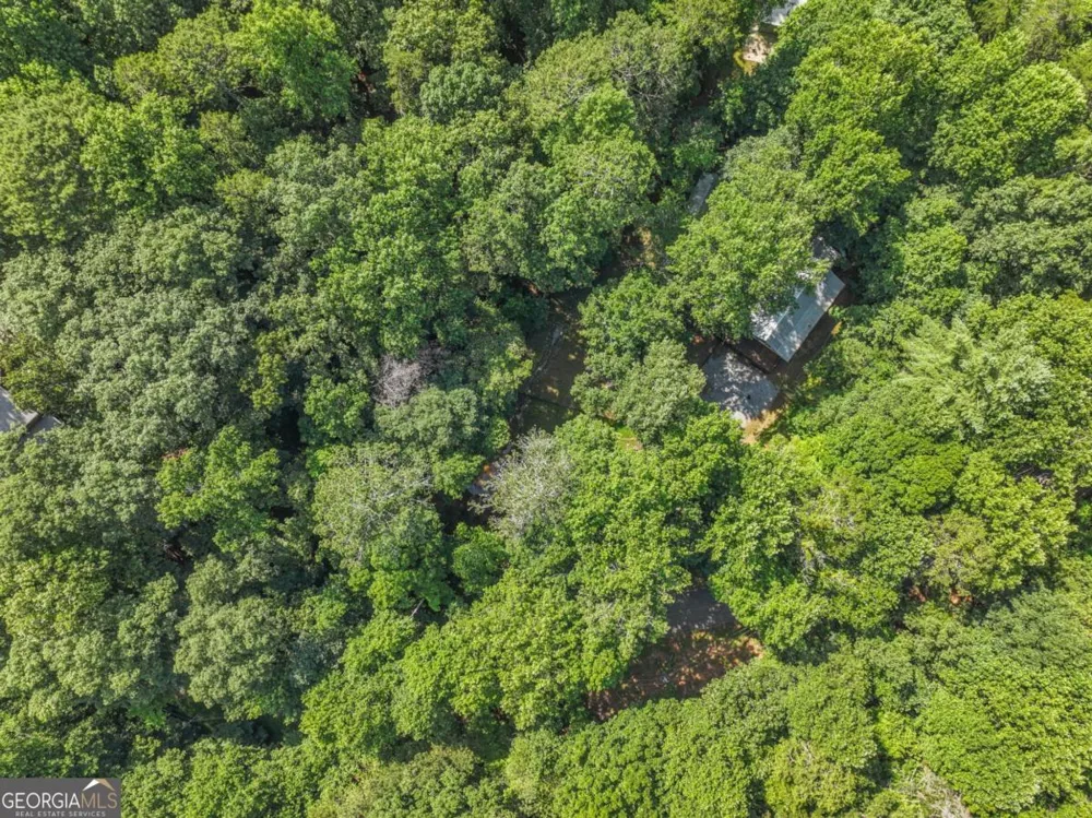 158 Bamby LN Ellijay, GA 30540
