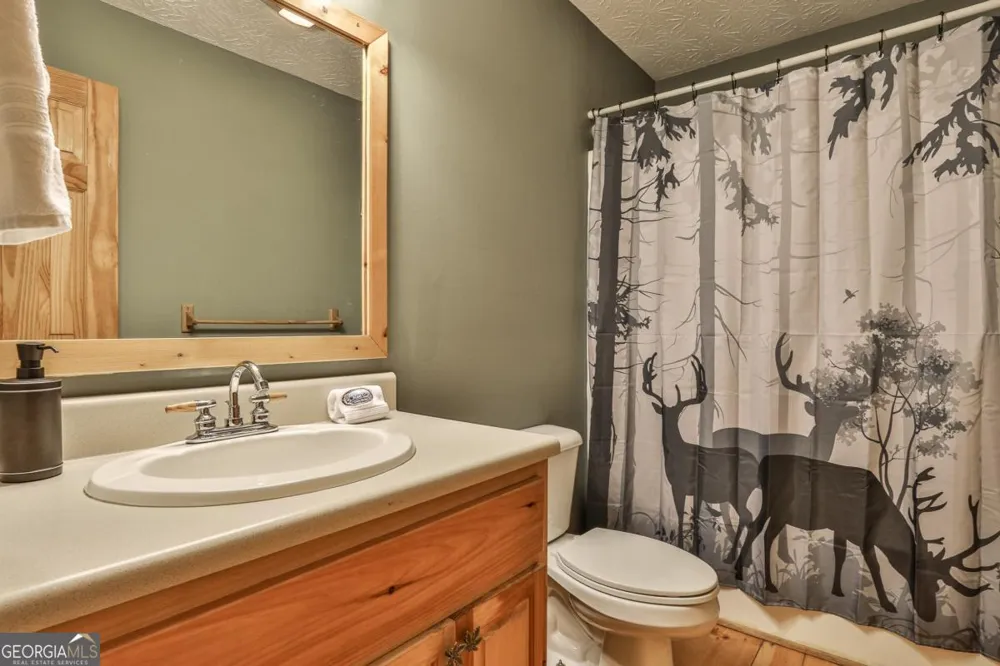 178 Novena CT Ellijay, GA 30540
