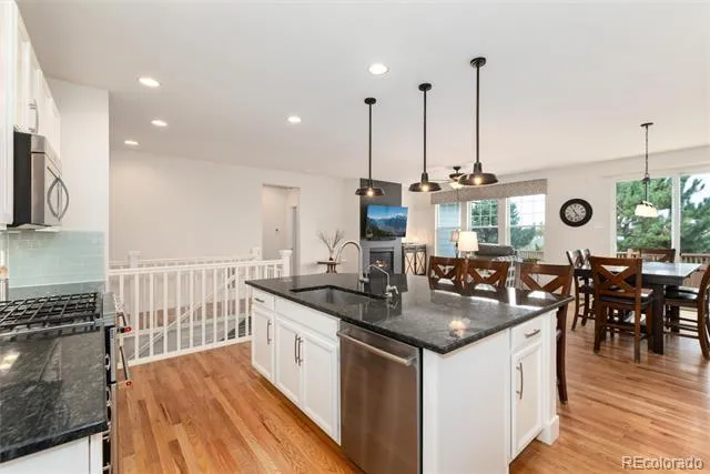 6609 Pinery Villa Place Parker, CO 80134