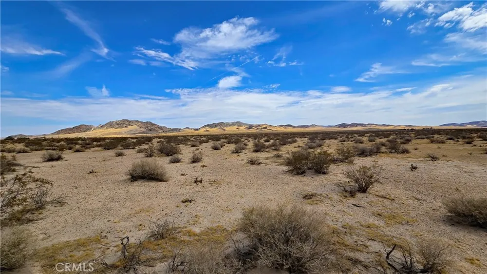 Greenview Rd Newberry Springs, CA 92365