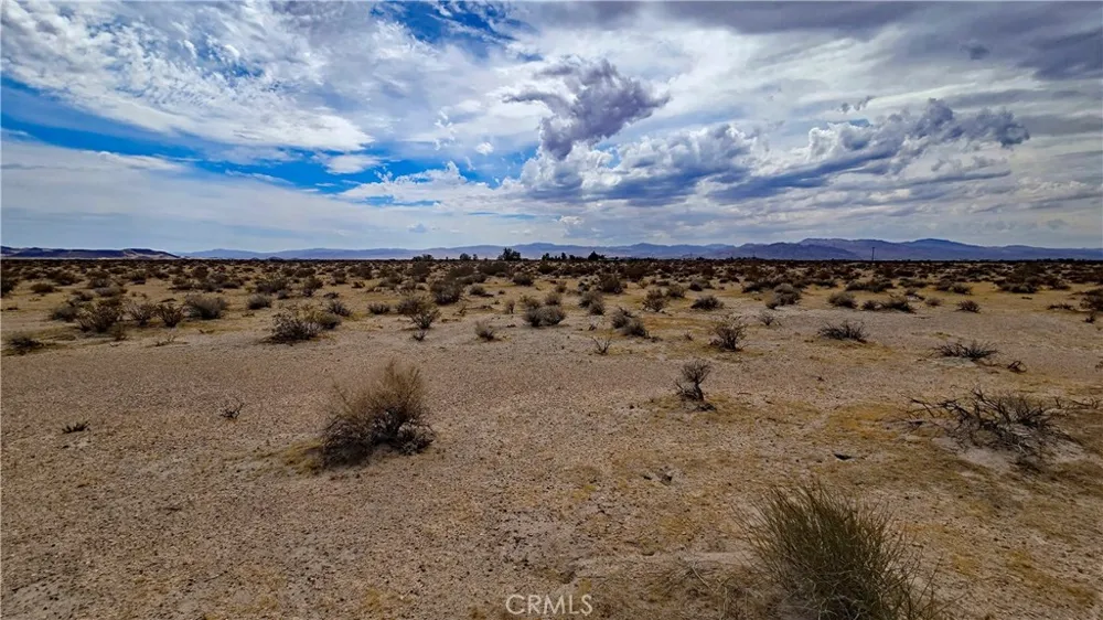 Greenview Rd Newberry Springs, CA 92365