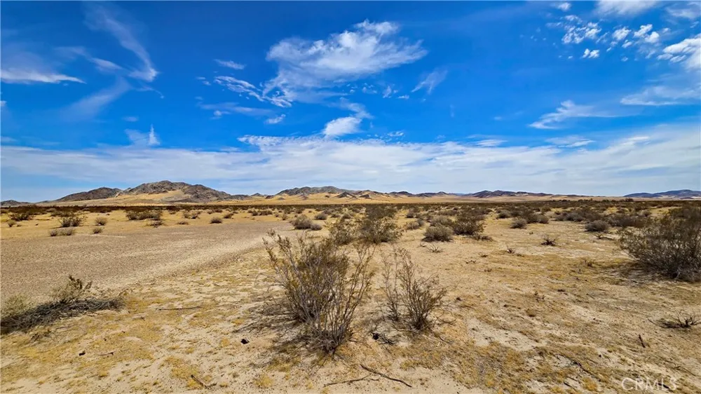 Greenview Rd Newberry Springs, CA 92365