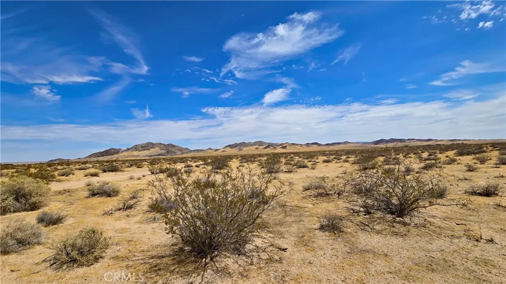 Greenview Rd Newberry Springs, CA 92365